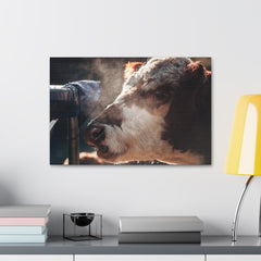Rustic Farmhouse Canvas Print, Animal Wall Art, Cow Decor, Home & Kitchen, Gift for Farm Lovers