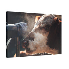 Rustic Farmhouse Canvas Print, Animal Wall Art, Cow Decor, Home & Kitchen, Gift for Farm Lovers