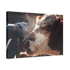 Rustic Farmhouse Canvas Print, Animal Wall Art, Cow Decor, Home & Kitchen, Gift for Farm Lovers