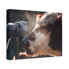Rustic Farmhouse Canvas Print, Animal Wall Art, Cow Decor, Home & Kitchen, Gift for Farm Lovers