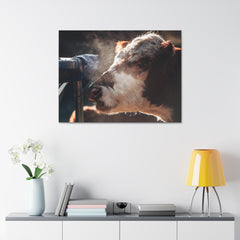 Rustic Farmhouse Canvas Print, Animal Wall Art, Cow Decor, Home & Kitchen, Gift for Farm Lovers