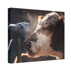 Rustic Farmhouse Canvas Print, Animal Wall Art, Cow Decor, Home & Kitchen, Gift for Farm Lovers