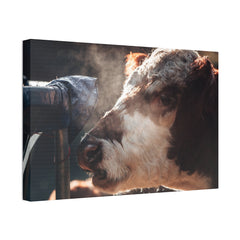Rustic Farmhouse Canvas Print, Animal Wall Art, Cow Decor, Home & Kitchen, Gift for Farm Lovers
