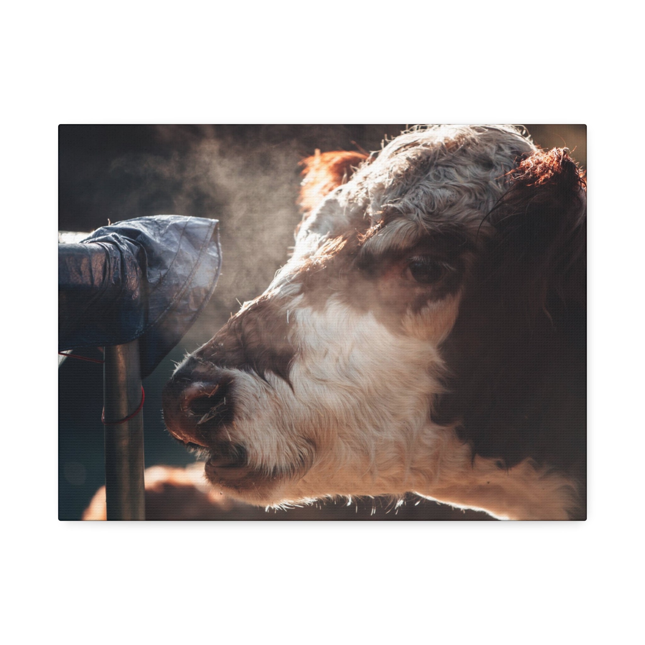 Rustic Farmhouse Canvas Print, Animal Wall Art, Cow Decor, Home & Kitchen, Gift for Farm Lovers