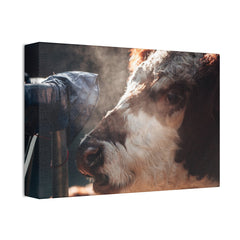 Rustic Farmhouse Canvas Print, Animal Wall Art, Cow Decor, Home & Kitchen, Gift for Farm Lovers