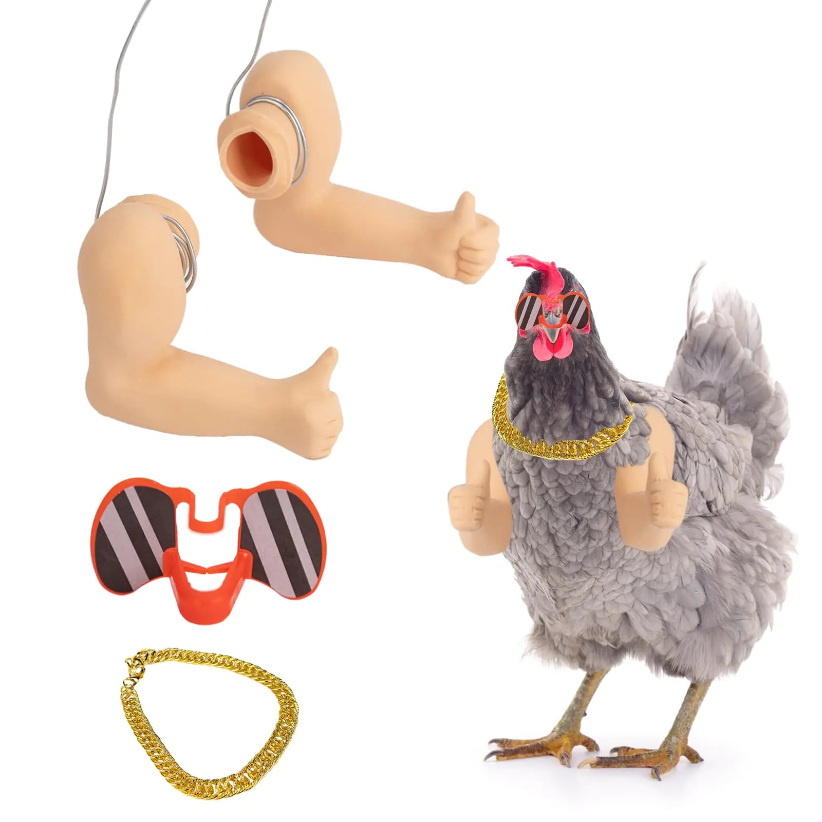 Chicken Swagger Kit