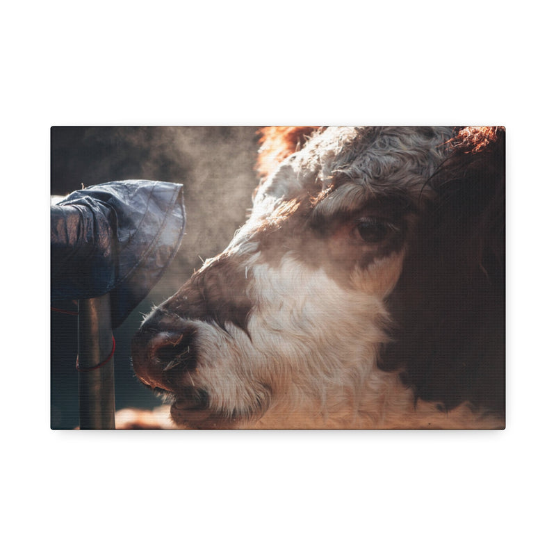 Rustic Farmhouse Canvas Print, Animal Wall Art, Cow Decor, Home & Kitchen, Gift for Farm Lovers